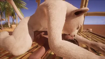 Furry Animation with Cosplay and Fetish Themes