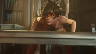 Tracer in the Library